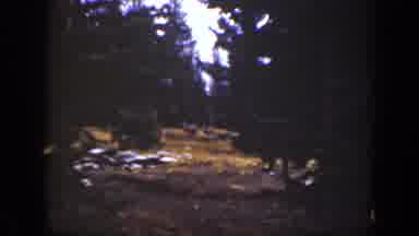 California USA (1938): Animals Roaming Free On The Ground