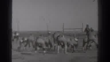 Washington USA (1938): Football Training At High Intensity And Enthusiastic On The