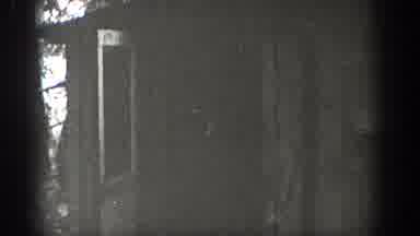 Washington USA (1938): A Woman Walking Out Of A Cottage And Watching A Boat Travel