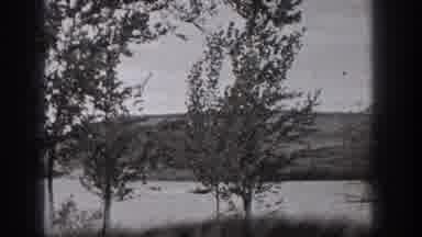 Washington USA (1938): Boat Playing In A Lake At High Speed There Is Bushes Around