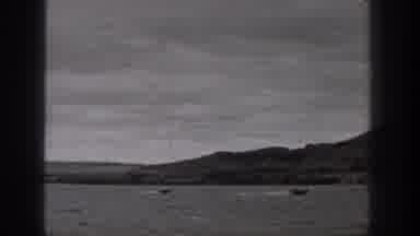 Washington USA (1938): Hunting The Animals In The Forest