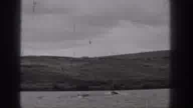 Washington USA (1938): Boats On The Lake