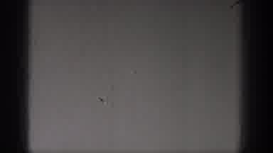 Washington USA (1938): The Flying Bird