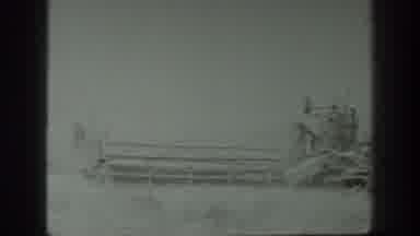 California USA (1939): Harvesting Grain On A Grain Field With A Big Harvesting