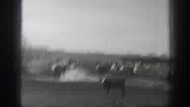 Montana USA (1939): Views Of Stray Cattle, Men On Horseback At Muddy Ranch