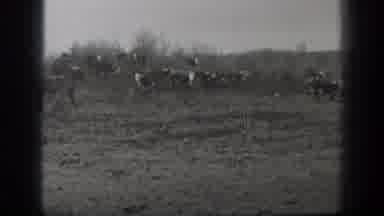 Montana USA (1939): Men Herding Horses To Their Destination