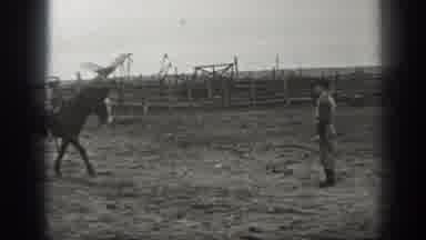 Montana USA (1939): Vintage Footage Of A Horse Walking To A Man Who Pets Its Neck