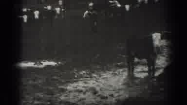 Montana USA (1939): Black And White Old Video Of A Cows Farm Somewhere
