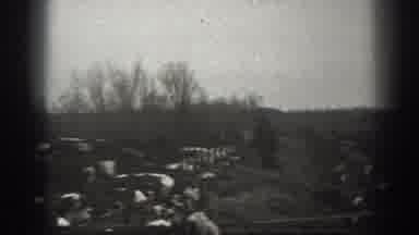 Montana USA (1939): Person Feeding Cows Hay