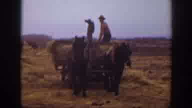 Montana USA (1939): A Man Was Using In The Horse Craft In A Road
