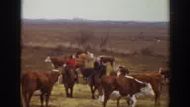 Montana USA (1939): The Person Sitting On The Horse And Riding In The Ground