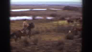 Montana USA (1939): Horse Rider Herding Cattle