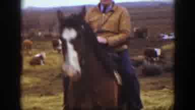 Montana USA (1939): It Was About Nature Place It Was Shows Trees ,Mountains