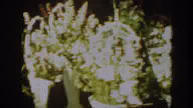 Montana USA (1939): Cute Marriage In Church Setting