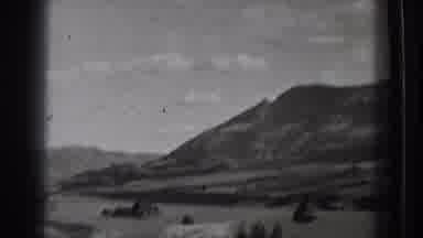 Washington USA (1939): Giant Monster Fish Swimming In A Pond