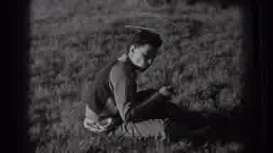Washington USA (1939): Guys Shootin' In The Wild