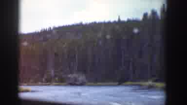 Wyoming USA (1939): Passing Views Of Roadside Stream And Budding Pine Trees In