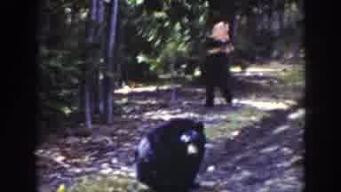 Wyoming USA (1939): People Watching A Bear Poop On The Side Of The Road