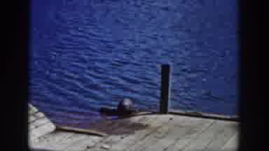 Wyoming USA (1939): Two Animals That Look Like Sea Lions Resting On A Pier Return