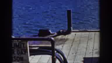 Wyoming USA (1939): Young Otters Frolic On A Dock Near The Water