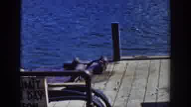 Wyoming USA (1939): Sea Lions Exploring The Pier