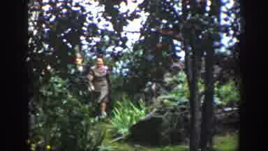 Wyoming USA (1939): Boys Walking Through The Forest