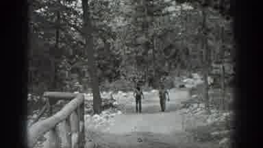 Washington USA (1940): Two Men Strolling Through The Woods On A Wide A Path