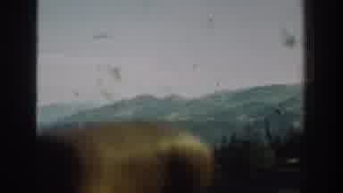 Washington USA (1940): Beautiful Outdoor Scenic View Filmed From Passing Car Or