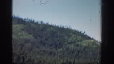 Washington USA (1940): Start Of Trail Head To A Lake In The Mountains