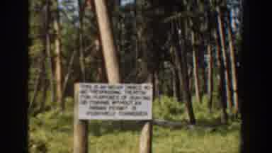 Washington USA (1940): Someone Traveling In A Car Down A Road Through A Forest And