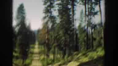 Washington USA (1940): Car Looking Out To The Forest And Then At A Lake With