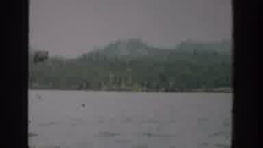 Washington USA (1940): River Flowing Near The Mountains And Also Trees Are Present