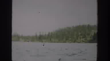 Washington USA (1940): Scenic View Of The Lake