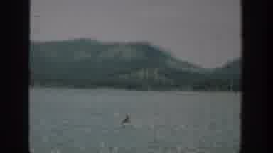 Washington USA (1940): Man Waving At Passerby As He Rides In His Small Boat On The