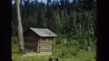 Washington USA (1940): Tiny Log Structure Next To Towering Pine Tree And Flag Pole