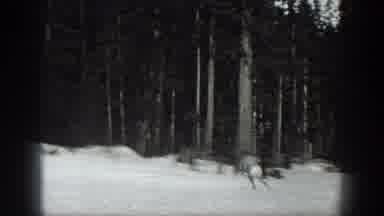 Washington USA (1940): Two People Skiing