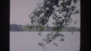 Wisconsin USA (1953): A Person Capturing The Natural Video And Girl Playing With