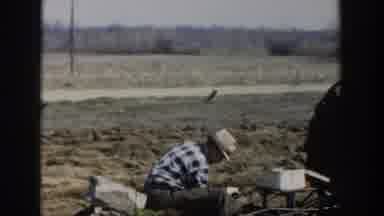 Who needs Tinder when you have a tractor to love in the fields?