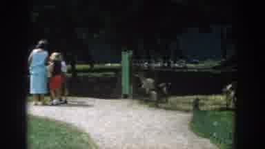 Wisconsin Dells Wisconsin USA (1954): The Children Were Playing With The Goat At