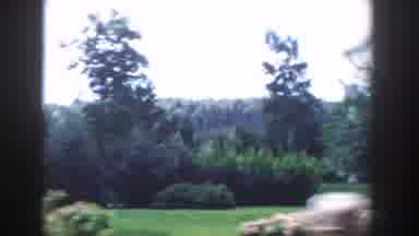 Wisconsin Dells Wisconsin USA (1954): Park With Flowers And Trees And A White