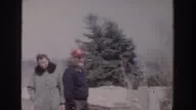 Grand Rapids Michigan USA (1956): Couple Accompanies Construction Of House In