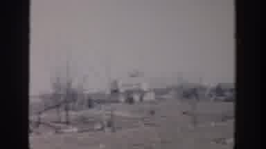 Grand Rapids Michigan USA (1956): Dry Trees In The Environment