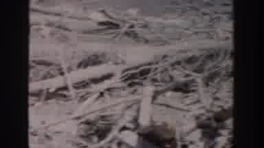 Grand Rapids Michigan USA (1956): Land Clearing Construction Development