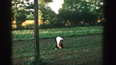 Michigan USA (1957): Woman Plucks From Garden Boy Runs Beside A White Building