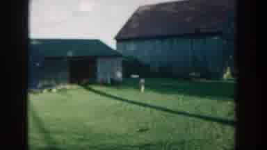 Michigan USA (1957): A Boy And His Companion, A Black Dog And Their Adventures