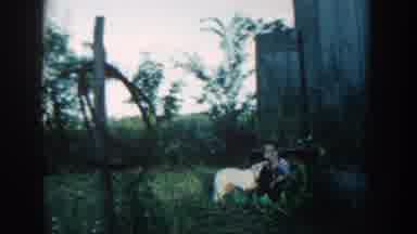 Michigan USA (1957): The Child Played For Dog Around The Garden