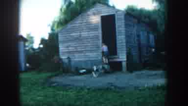Michigan USA (1957): Boy And Dog Playing In Barn Childhood Memories Good Times