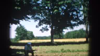 Michigan USA (1957): Adult Gardens Under Trees And Child Walks Outside