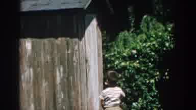 Michigan USA (1957): Boy Male Child Walking Then Opening Outhouse Door Near Bush