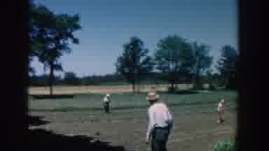 Michigan USA (1957): Men Tend To Farm Fields Outdoors Near Greenery
